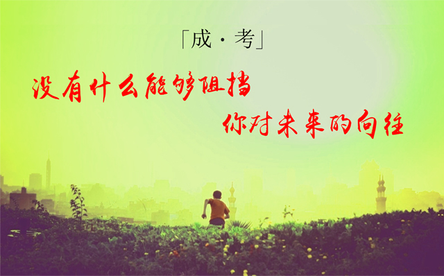 成考 成考