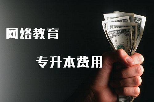 成人高考与网络教育 成人高考与网络教育