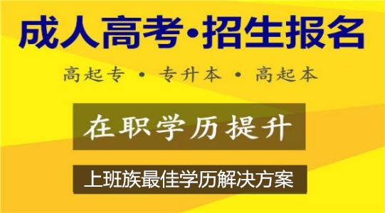 成人高考报名 成人高考报名