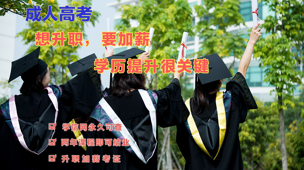 函授本科 函授本科